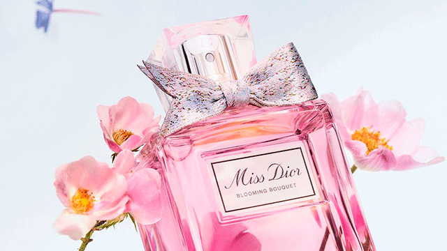 colores corporativos de Dior y su significado
